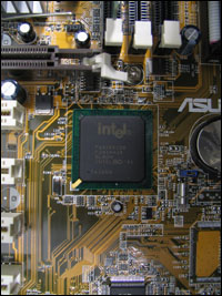 macro_canon_thumb.jpg