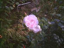 Resize of Photo_050504_032.jpg