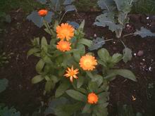 Resize of Photo_050504_041.jpg