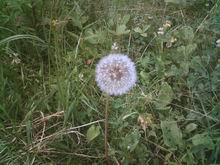 Resize of Photo_050504_043.jpg