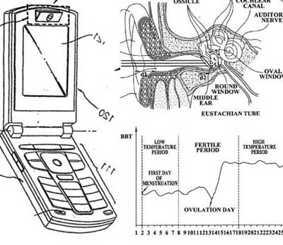 Samsung Pregnant Phone