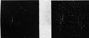 �� �����, Wellprint ������. ����� 10 ���������� ��������