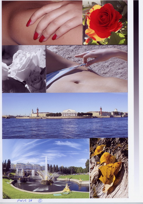 �������� �anon, ������ Wellprint, ����������� ����� ������