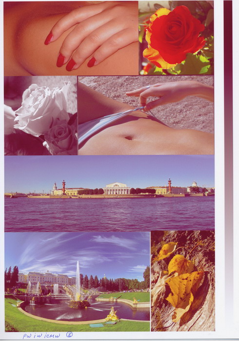 Картридж Wellprint, бумага Wellprint, ICM-профиль Wellprint