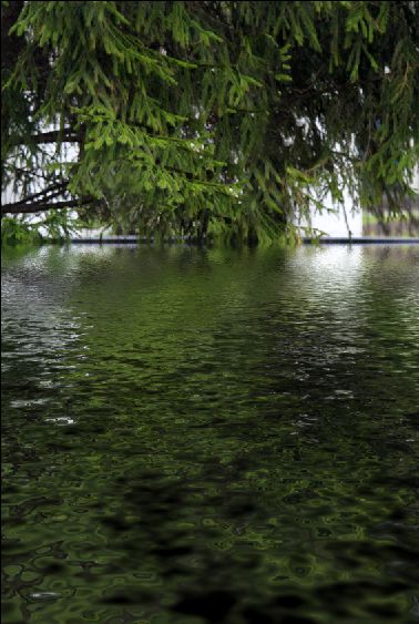 ��������� ���������� ������� Flood � �������� ����