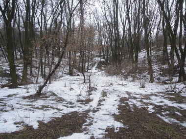 CIMG0126_resize