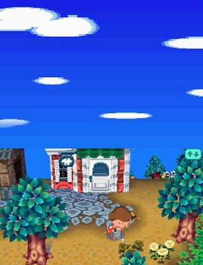 Animal Crossing: Wild World. ��������������� ���������