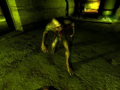 prev-image6
