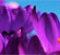 flower_small