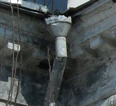 crop-1