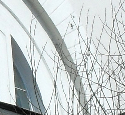 crop-2