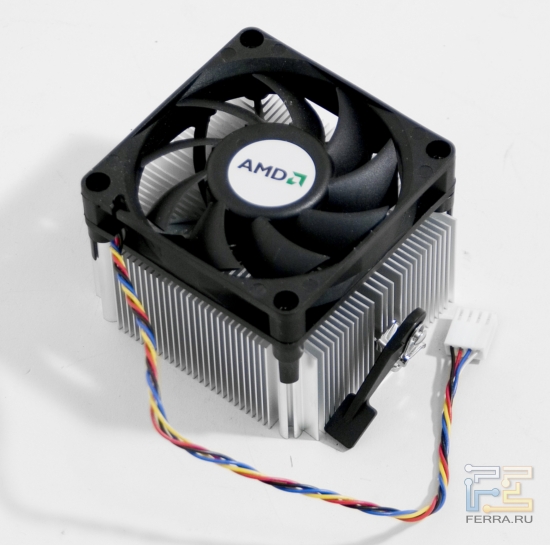 p_amd