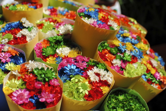 Nikon-D3000-Sample-4s