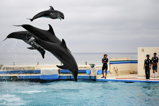 Nikon-D3000-Sample-8s