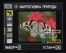 scn_4