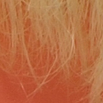 iso100_1