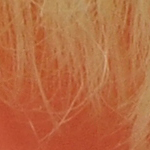 iso200_1