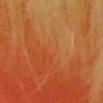 iso1600_1