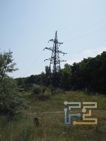 P7190020_resize