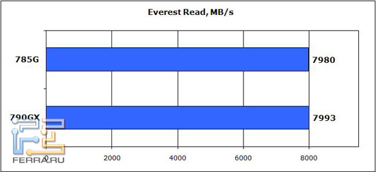Everest-Read