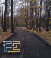p_SAMP02