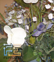 p_SAMP12