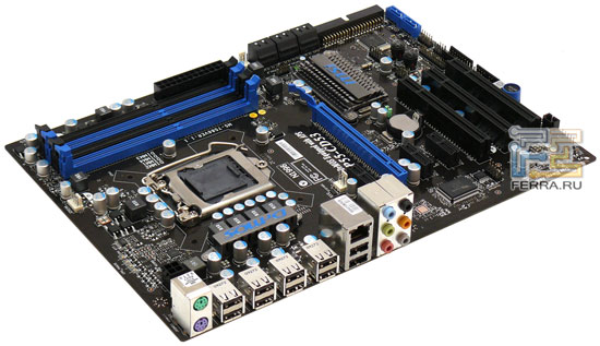 p_MSI_P55-CD53
