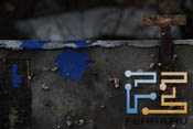 s11