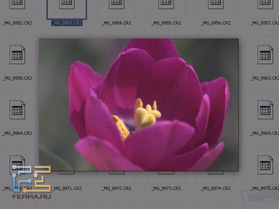 AutoViewer