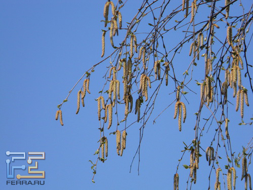 DSCN0210