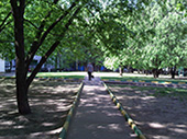 p_PS03