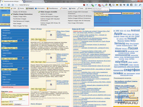 Web Developer