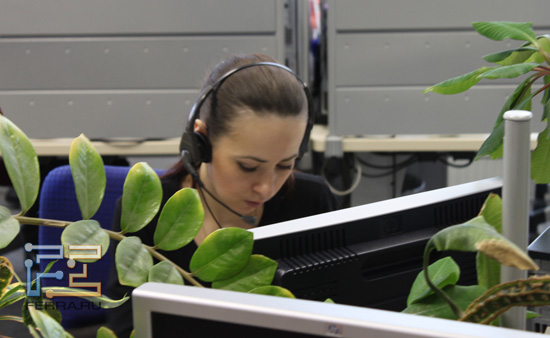 Операторы колл-центра купаются в зелени 