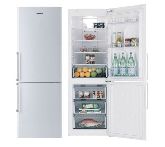 Холодильник Samsung RL 34SGSW 