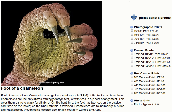 Фотография и варианты её заказа на Science Photo Gallery