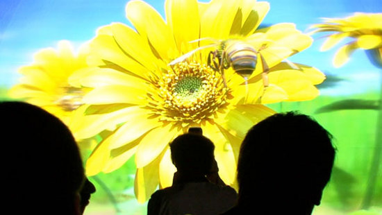 Full HD 3D дисплей