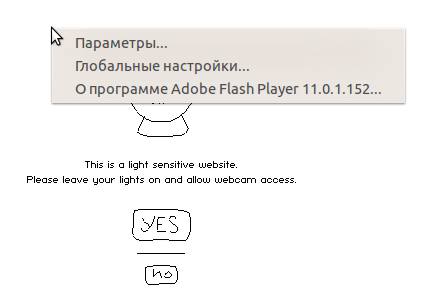 Adobe Flash inside