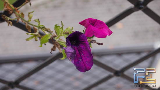 F/7,1, 1/40 c, ISO 200, 84 ��