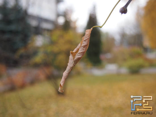 F/4,6, 1/60 c, ISO 250, 54 ��