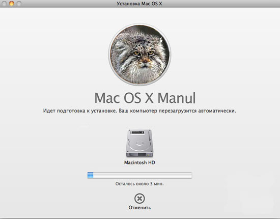 Скриншот установки Mac OS X 10.10 Manul