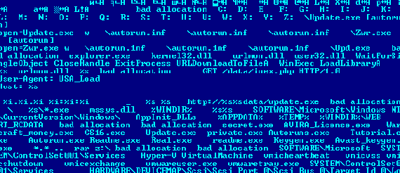 Win32.HLLW.Autoruner.64548