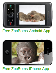 Мобильные приложения сайта ZooBorns