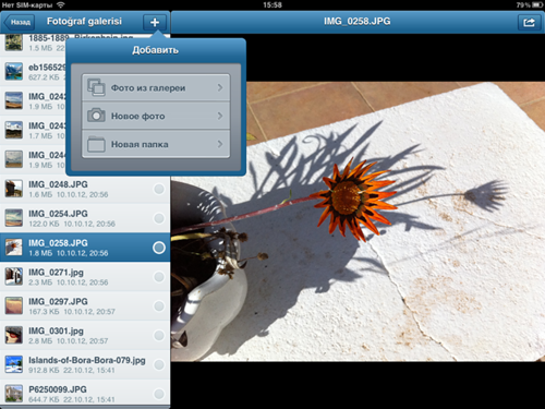 Яндекс.Диск для iPad