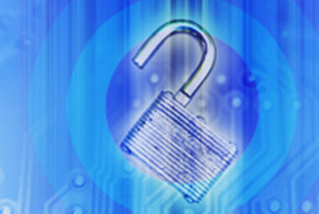 290x195softwareflaws2