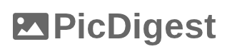Лого PicDigest