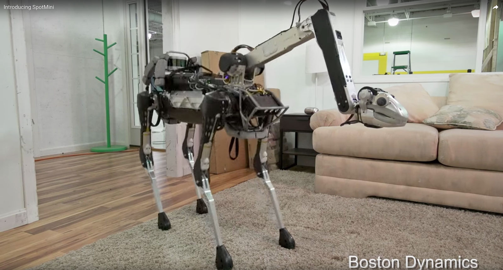 Новый собако-робот Boston Dynamics загрузит посуду мыться