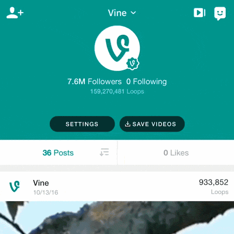 Vine закроется 17 января