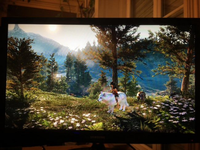 Игра WiLD все еще находится в разработке