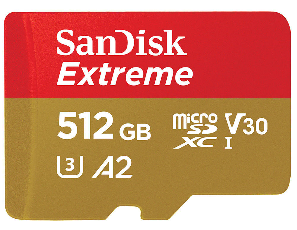 SanDisk        microSD  1 