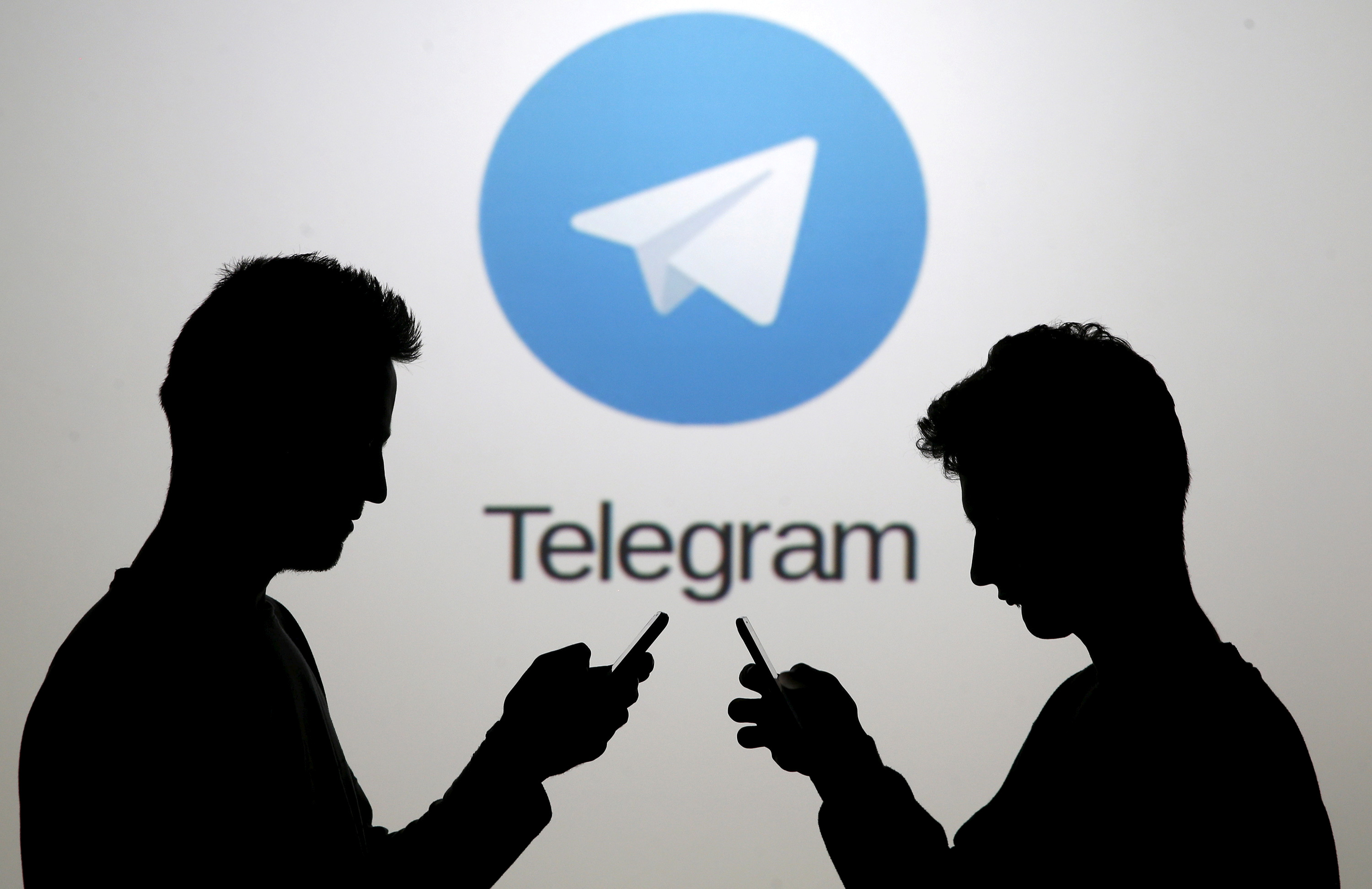    ,     Telegram